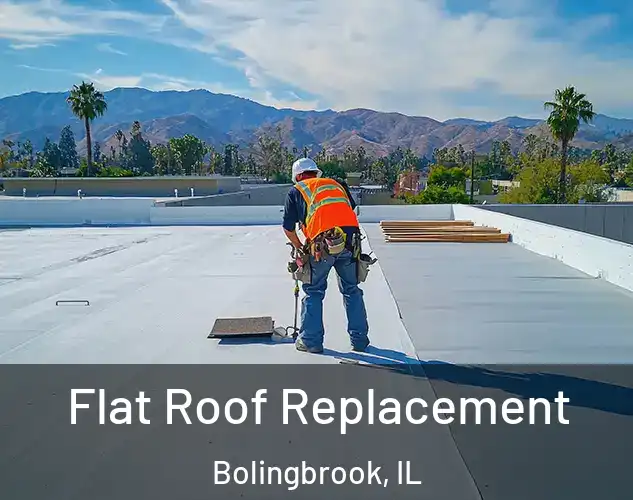  Flat Roof Replacement Bolingbrook, IL
