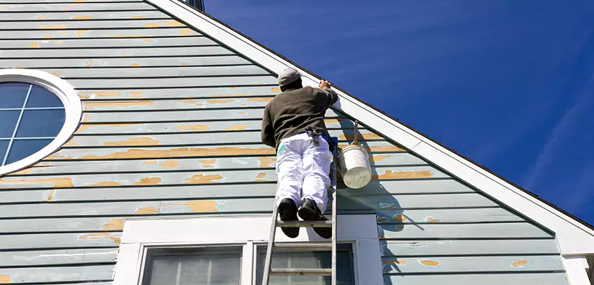 Professional Roof and Siding Repair Services in Bolingbrook, IL