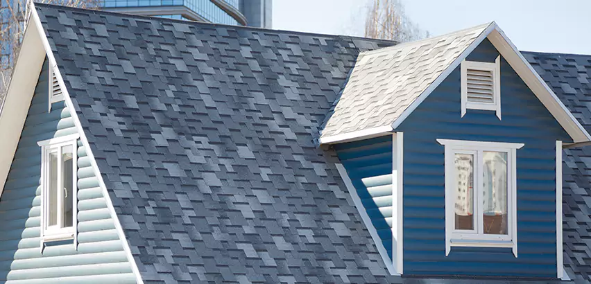 Shingle Roof Maintenance in Bolingbrook