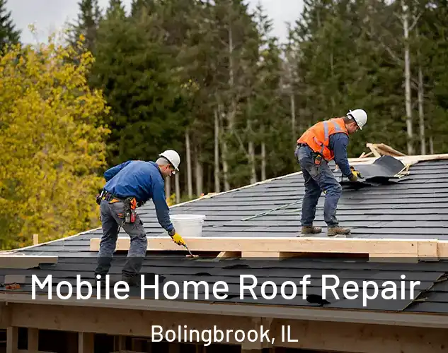  Mobile Home Roof Repair Bolingbrook, IL