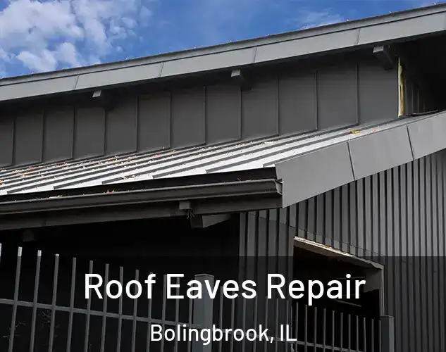  Roof Eaves Repair Bolingbrook, IL