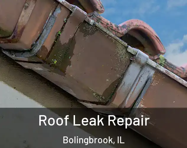  Roof Leak Repair Bolingbrook, IL