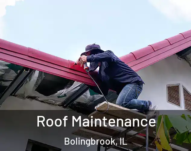  Roof Maintenance Bolingbrook, IL