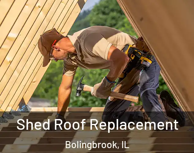  Shed Roof Replacement Bolingbrook, IL