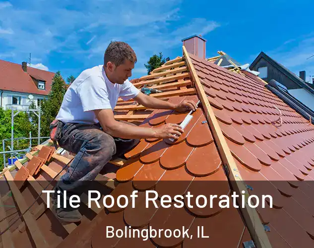  Tile Roof Restoration Bolingbrook, IL
